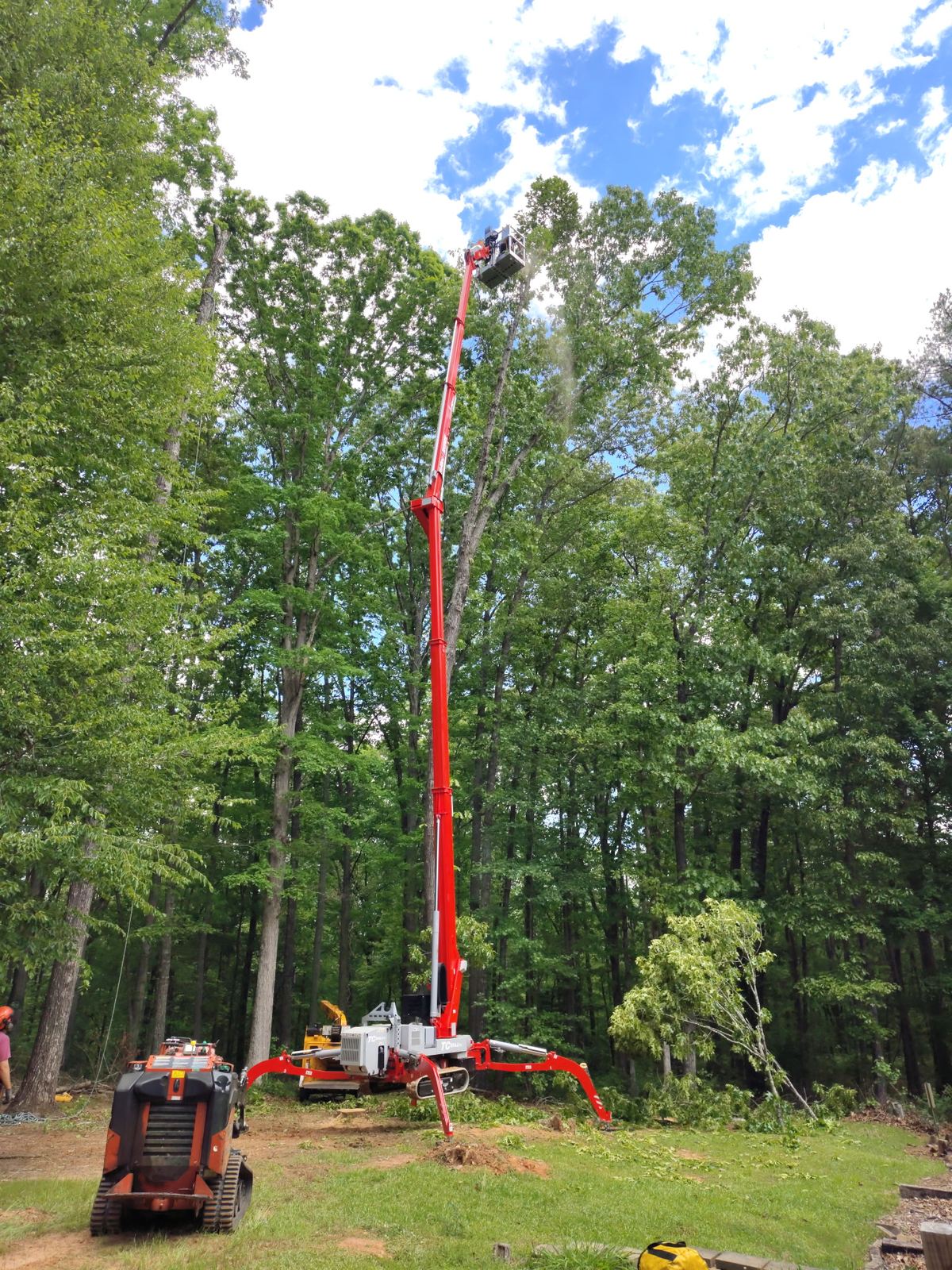 Lift reaching the top of a tall tree