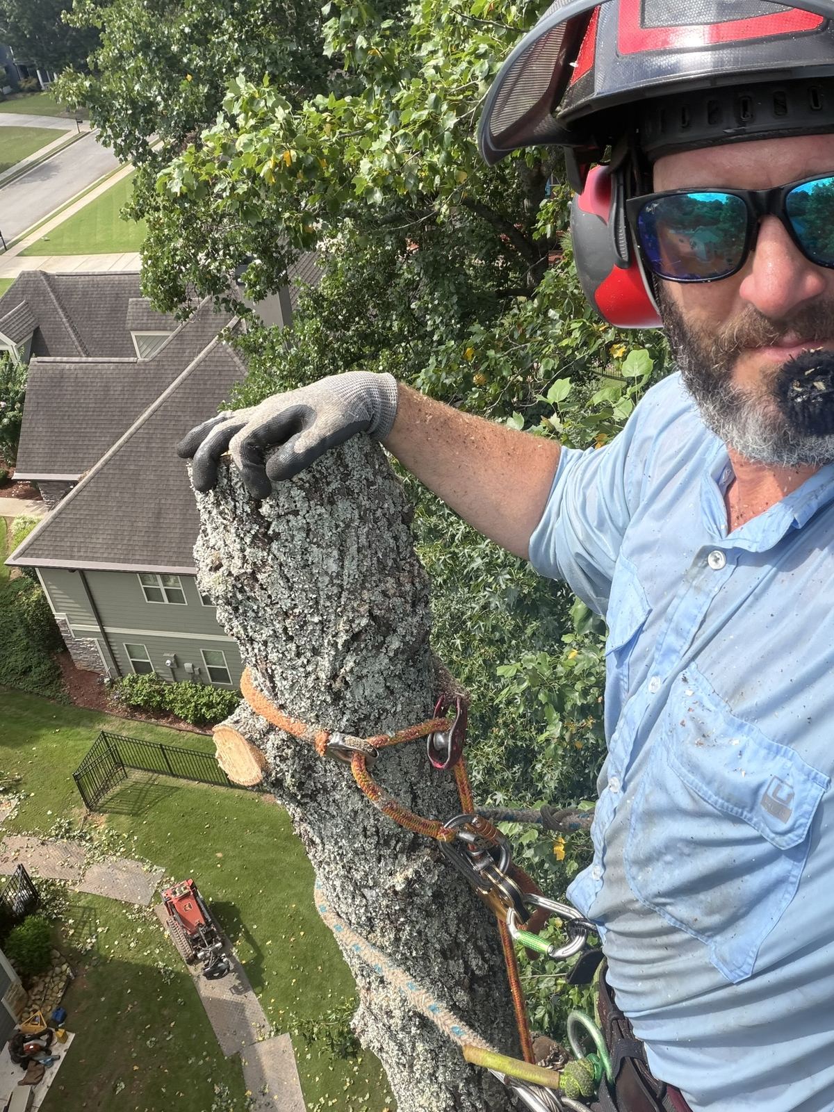 Owner Randall Miller tied in at the top of a tree